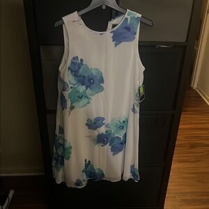 Floral Sleeveless Dress